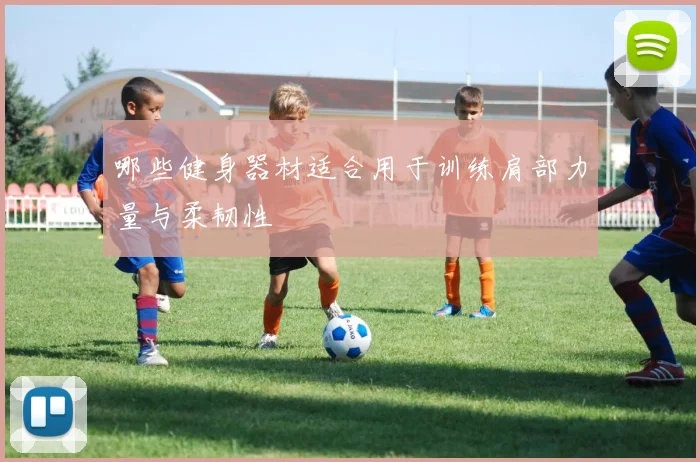 哪些健身器材适合用于训练肩部力量与柔韧性