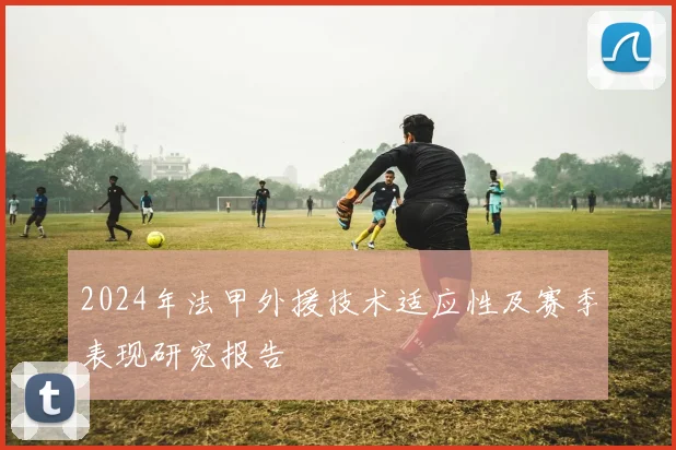2024年法甲外援技术适应性及赛季表现研究报告
