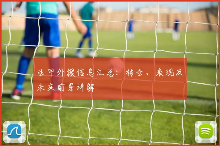 法甲外援信息汇总：转会、表现及未来前景详解